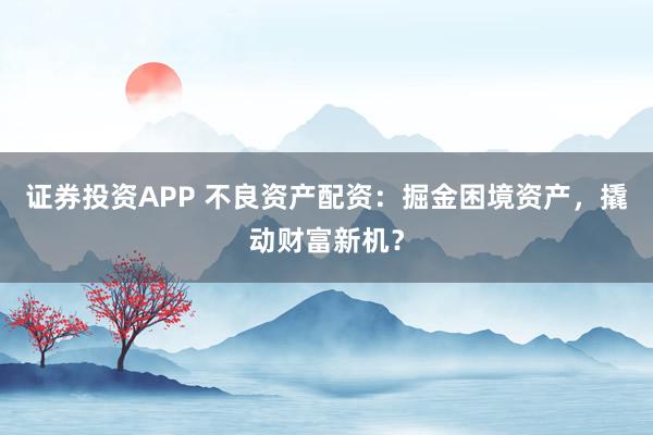 证券投资APP 不良资产配资：掘金困境资产，撬动财富新机？