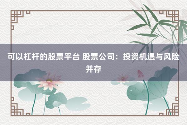 可以杠杆的股票平台 股票公司：投资机遇与风险并存