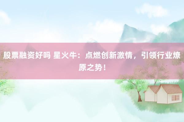 股票融资好吗 星火牛：点燃创新激情，引领行业燎原之势！