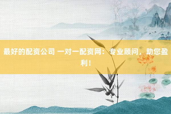最好的配资公司 一对一配资网：专业顾问，助您盈利！