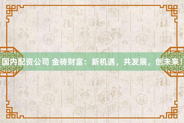 国内配资公司 金砖财富：新机遇，共发展，创未来！
