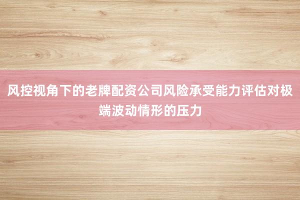 风控视角下的老牌配资公司风险承受能力评估对极端波动情形的压力